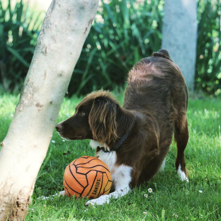 Agriturismo La Corte Del Lupo ノチェーラ・ウンブラ エクステリア 写真